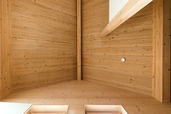 doppelhaus, doppelhaeuser, mehrfamilienhaus, mfh, doppelhaushaelfte, holzfassade, holzverkleidung, thoma holz100